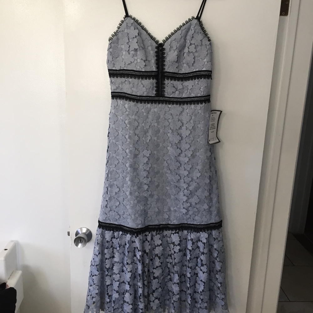 Jil stuart Sz 8 Floral Lace Midi Dress - Picture 6 of 8